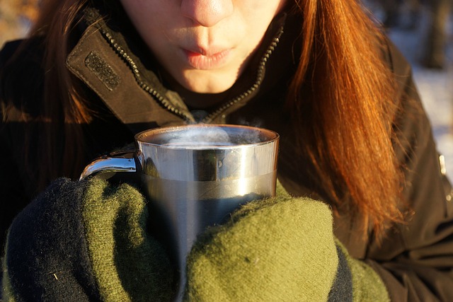 Winter Food Truck Planning Usedvending The Scoop