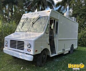 1996 P3500 All-purpose Food Truck Air Conditioning Florida Gas Engine for Sale