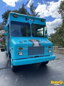 2004 Workhorse Pet Care / Veterinary Truck Electrical Outlets Pennsylvania Diesel Engine for Sale