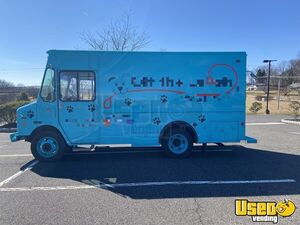 2004 Workhorse Pet Care / Veterinary Truck Interior Lighting Pennsylvania Diesel Engine for Sale